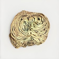 Rose Of Jericho Dried Plant