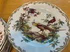 Rutherford's Birds by CHINA w/Gold 8-5pc Sets Bowls, Plate, Cups/Saucers (40pcs) — photo 8