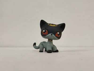 Littlest Pet Shop Hasbro #886 - Chat Européen Shorthair - Figurine Authentique LPS - 146