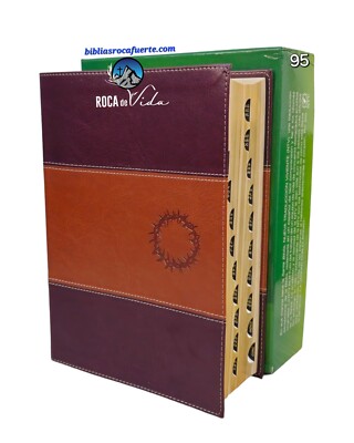 BIBLIA DE ESTUDIO DIARIO VIVIR LETRA GRANDE NTV DOS TONOS CAFE CON ÍNDICE 