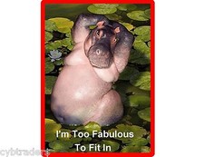 Funny Hippopotamus  Refrigerator / Tool Box Magnet Gift Card Insert