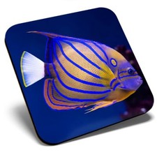 Square Single Coaster - Tropical Bluering Angelfish Reef Fish #16055
