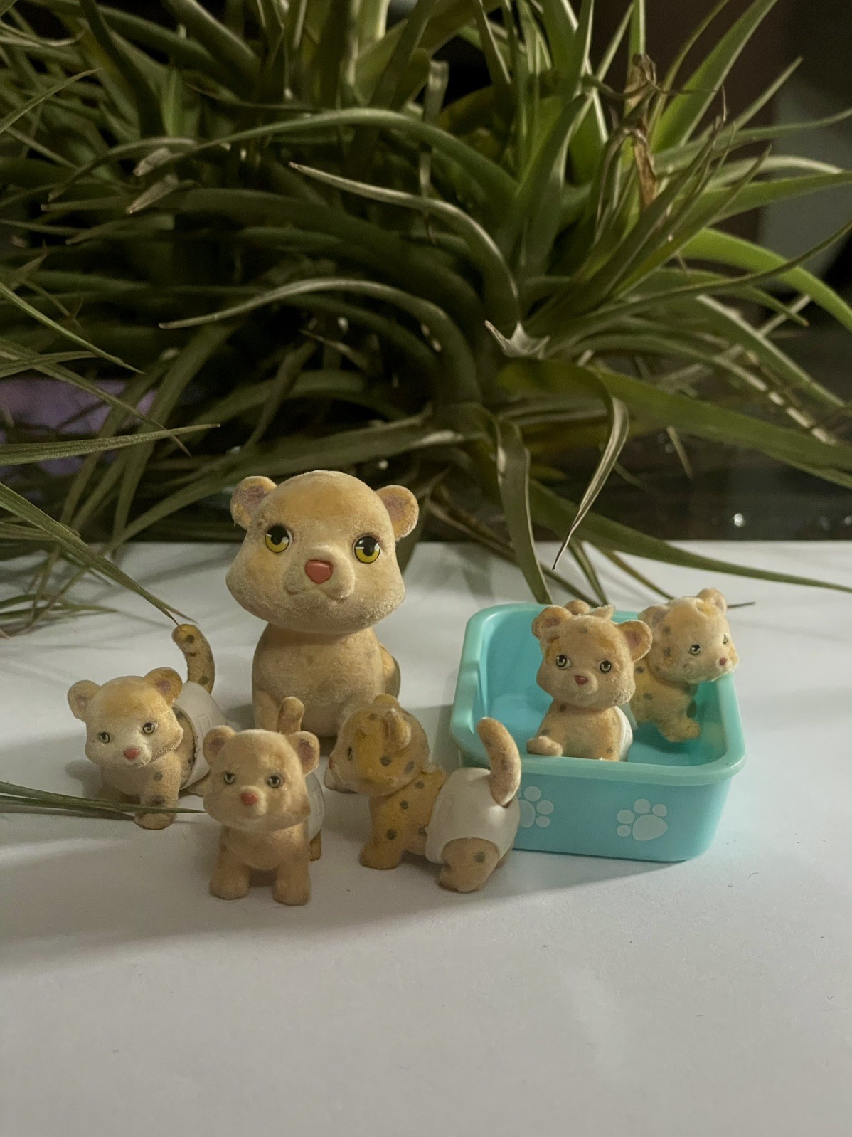 cuccioli cerca amici famiglia - Buono stato