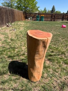 Solid Wood Tree Trunk Stump End/Side Table, Brown, Free Form Indoor/Outdoor