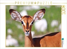 CALVENDO Puzzle Schwarznasen-Impala  1000 Teile Lege-Gr  e 64x48cm Foto-Puzzle