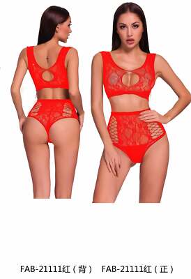 Lingerie Sexy  Two Piece Fishnet Top and Underwear  (FAB-21111)