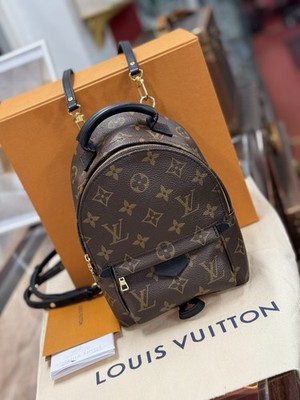 Louis Vuitton Palm Springs Mini Rucksack Monogram M44873 Top Zustand