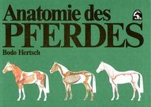 Anatomie des Pferdes: Zum Verständnis des Körperbaues un... | Buch | Zustand gut