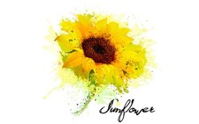 Sunflower Kit Dotologie Dotz beading summer abstract craft garden diamonds art