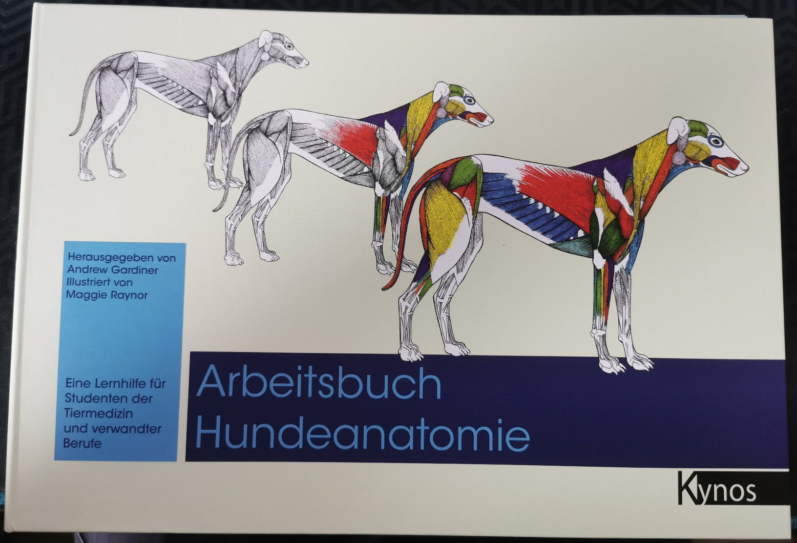 Thumbnail - Arbeitsbuch Hundeanatomie Eine Lernhilfe Für Studenten Der Tiermedizin