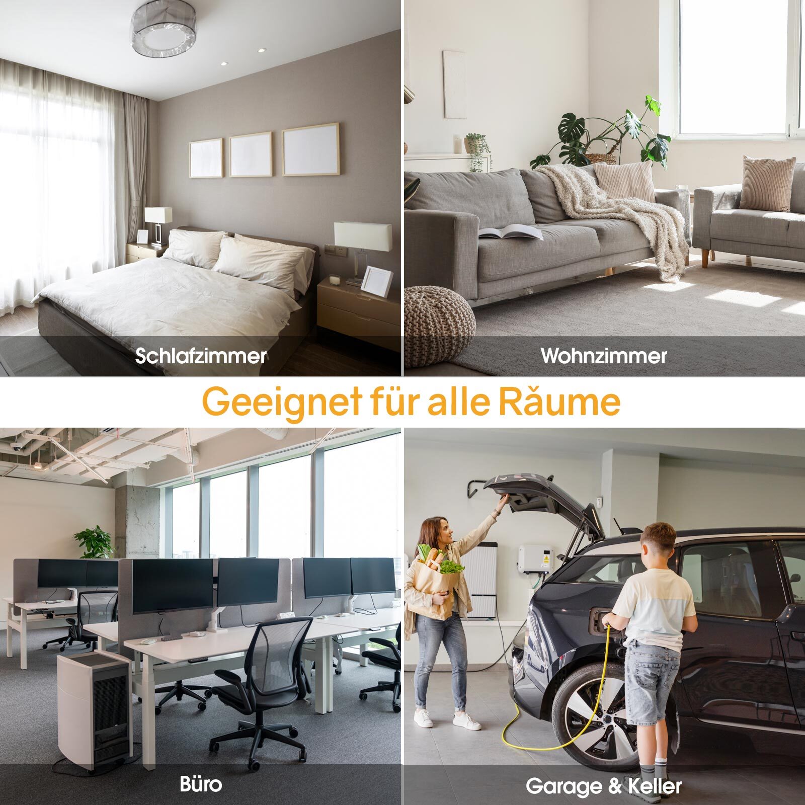Bild 7 von 7