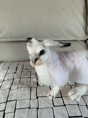 Needle Felted Snow Shoe Hare, Hand Made, Posable, Cute, Gift, Fluffy, Arctic - Picture 7 of 8