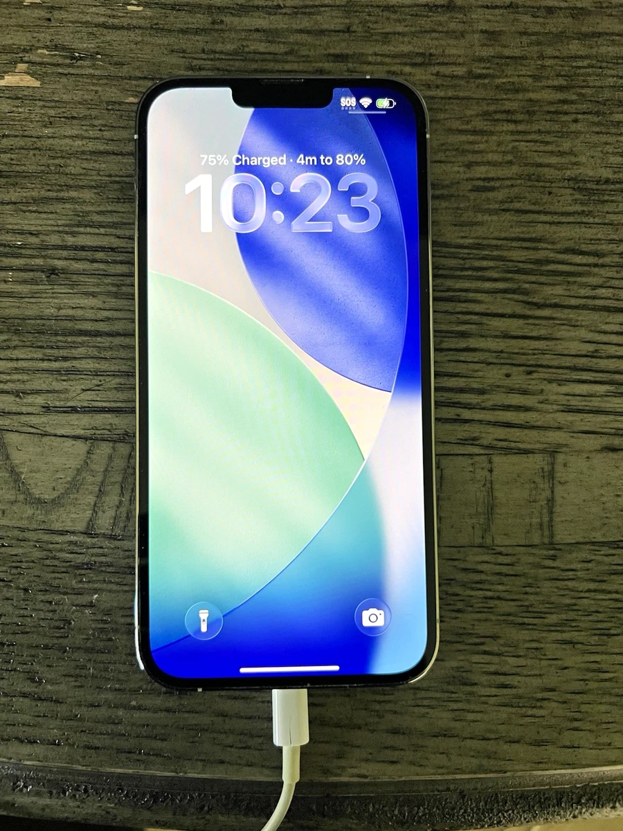 Apple iPhone 13 Pro Max - For Sale - ebay.com