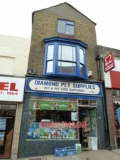 PHOTO  RYDE HIGH STREET- DIAMOND PET SUPPLIES  2011
