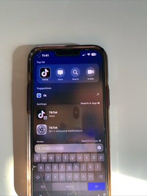 iPhone 13 Pro Max With TikTok
