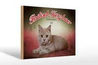 Holzschild Katze 30X20 Cm British Kurzhaar GroßBritanien Deko Schild Wooden Sign