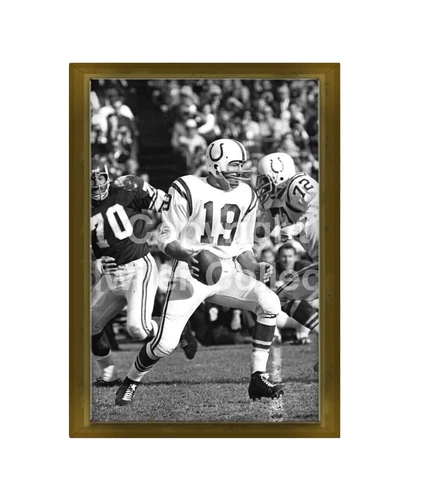 Johnny Unitas NFL Photos