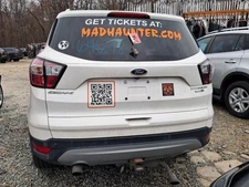 Trunk/Hatch/Tailgate Privacy Tint Glass Appearance Pkg Fits 17-19 ESCAPE 2769556