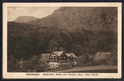 Ansichtskarte Steinbergen, Wolbrecht´s Hotel und Pension v. Hans Storck 