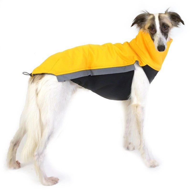 Sofshelljacke Windhund - Wintermantel Greyhound Galgo Whippet Jumper Pullover - Bild 2 von 4