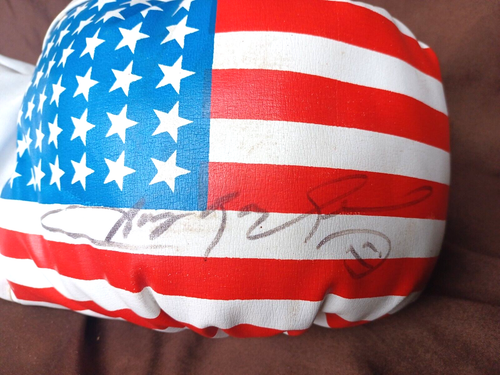SUGAR RAY LEONARD Boxing GLOVE AUTOGRAPH Signed PATRIOTIC FLAG Right Hand - Picture 2 of 9