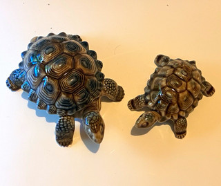 2 turtle wade whimsies One Trinket Dish with Removable Shell