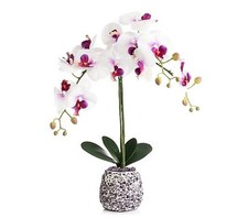 LUMIDA Flora künstliche Orchidee Kiestopf 5h-Timerfunktion