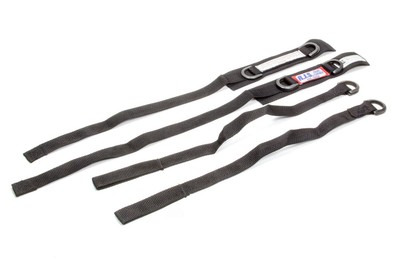 RJS Racing Equipment Jr Dragster Arm Restrain
