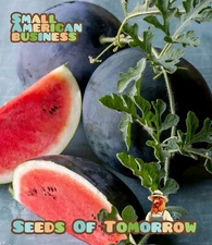 50 Sugar Baby Watermelon Seeds- With Bonus! |Organic Non-GMO Heirloom 