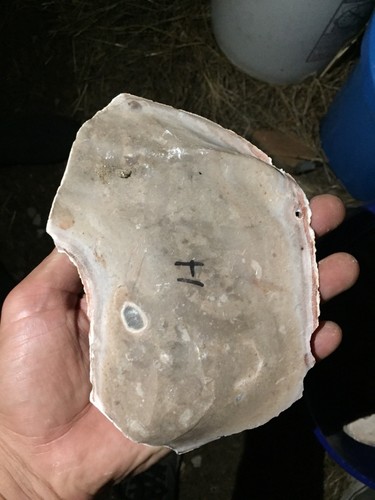 Heat treated Texas Chert Spalled medium flat 15+ Lbs $120 - Picture 3 of 11