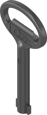 1x Doppelbartschlüssel Steckschlüsse DB 5mm Schaltschrank Rittal schwarz 1C04-06