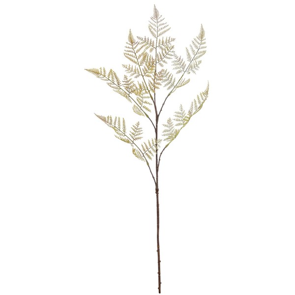 KüNstlicher Asparaguszweig, 4Er Set, Farbe HellgrüN, HöHe Ca. 90 Cm-image