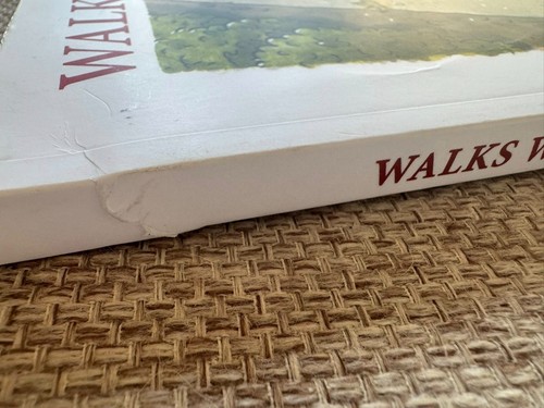 Rare WALKS WITH WILLA - A LOVE STORY Steven Reddy Wonderful Dog Story pb Book - Foto 3 di 6