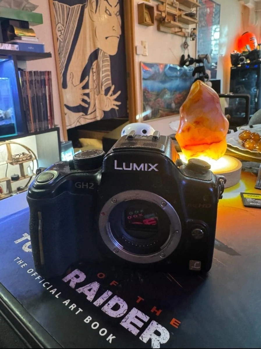 vhbw passend für Panasonic Lumix DMC-GH2, DMC-GH2H, DMC-GH2K, DMC-GX8