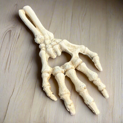 Skeleton Hand Cast Iron Bottle Opener With Antique Finish (6.5'' Long)