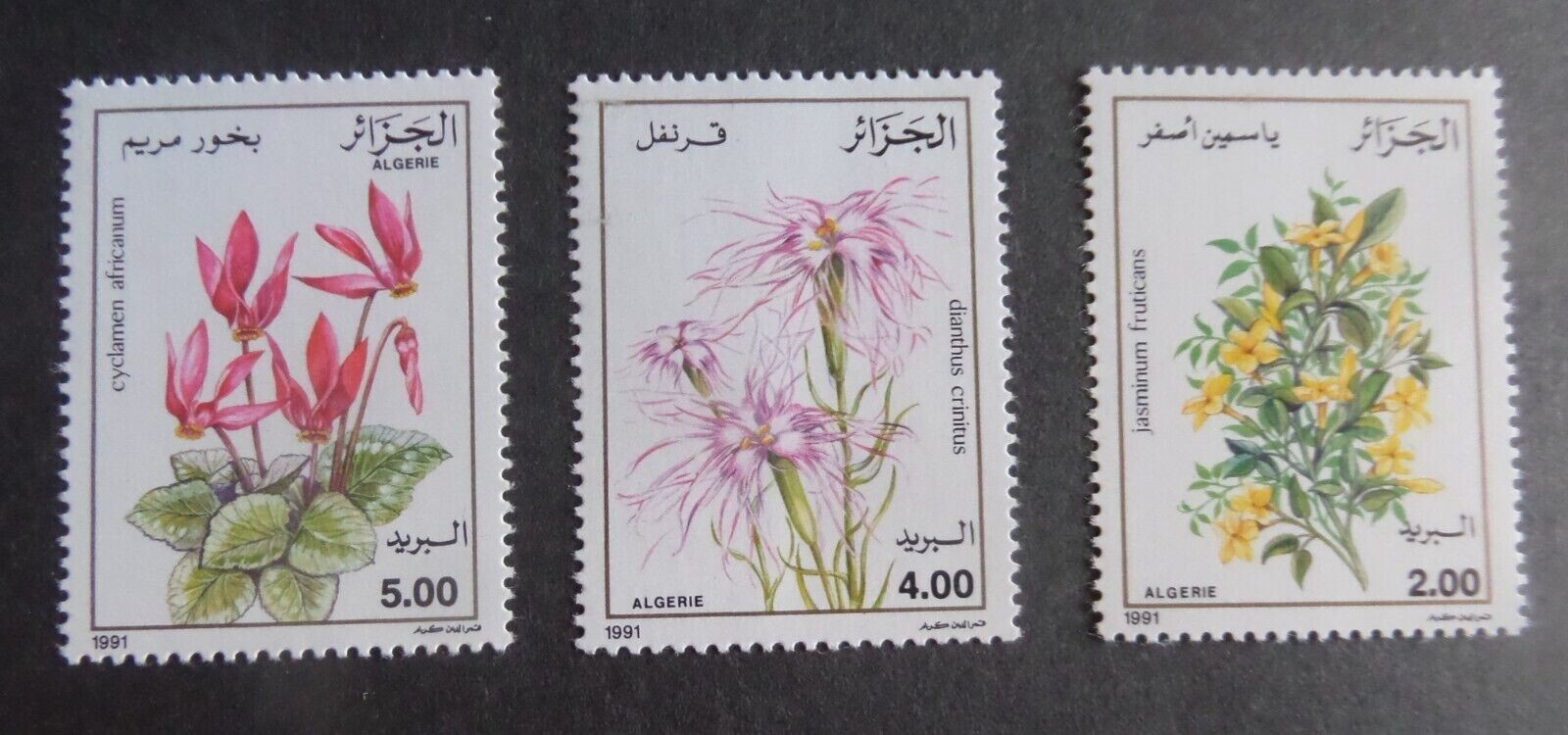 Algeria 1991 flowers SG1058/60 MNH UM unmounted mint | eBay