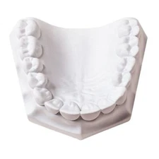 Whip Mix Mounting Plaster White, 33lbs Bulk Pack. ISO Type 1 Quick Setting