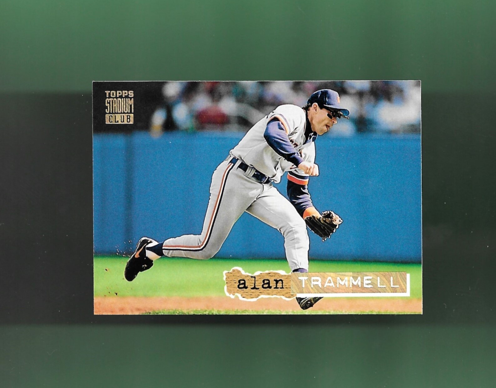 ALAN TRAMMELL-DETROIT TIGERS! 1994 TSC GOLD RAINBOW # 331 ALAN TRAMMELL SHARP!