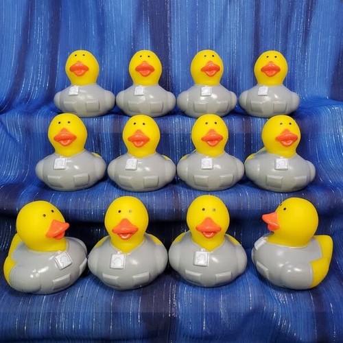 12 Medical Staff in Grey Scrubs Rubber Ducks Doctor Nurse Orderly NEW