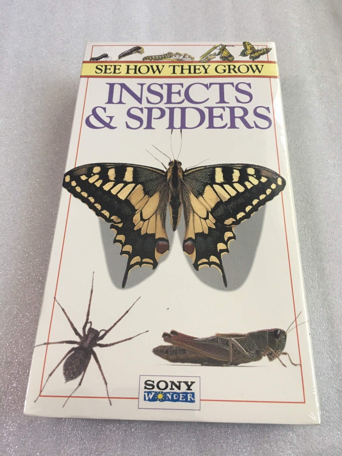 See How They Grow Insects and Spiders (VHS, 1995, DK Vision) NEW