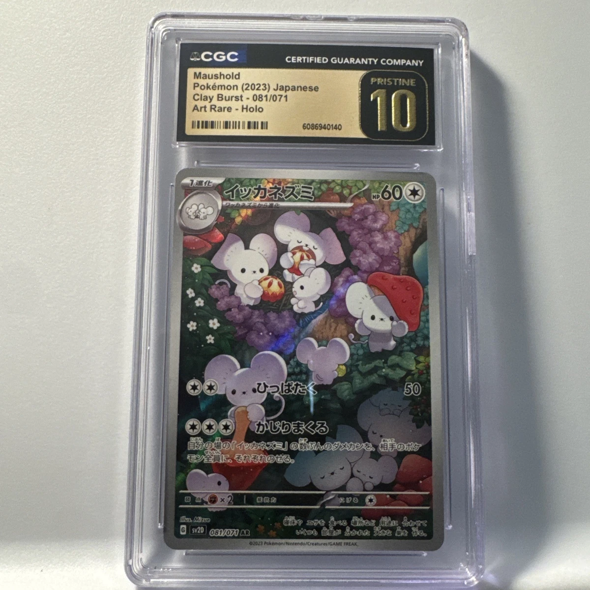 Maushold 081/071 Sv2d: Clay Burst for sale | eBay