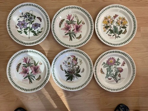 Set of 6 Portmeirion The Botanic Garden 10.5 Inch Dinner Plates Free Shipping