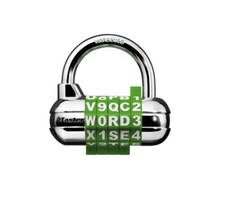 Master Lock 1534D Assorted Colors Combination Padlock with Letters & Numbers