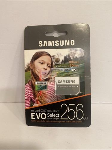 Adaptateur SD carte mémoire Samsung EVO Select 256 Go MicroSDXC UHS-1 (MB-ME256GA/AM)