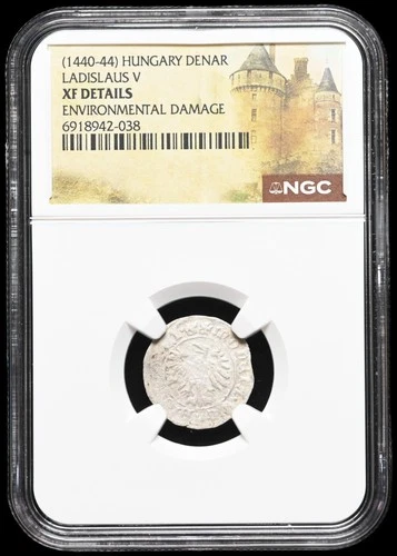 HUNGARY. Ladislaus V, 1440-1444. Silver Denar, Scarce, NGC XF Details