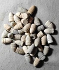 45 Civil War Relic U.S. unfired Sharps bullets dug in Central Virginia $58.00