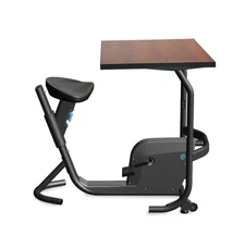 🔥New LifeSpan Unity Jr. Kids Pedal Bike Desk Homeschool Classroom Exercise 