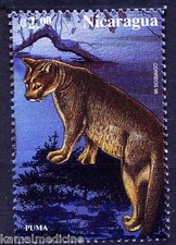 Puma, Wild Animals, Wildcats, Nicaragua 1999 MNH