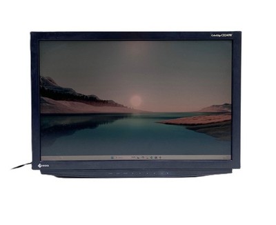 EIZO CE240W 24,1'' Breitbild Monitor FHD 190x1080 2x DVI USB OHNE STÄNDER