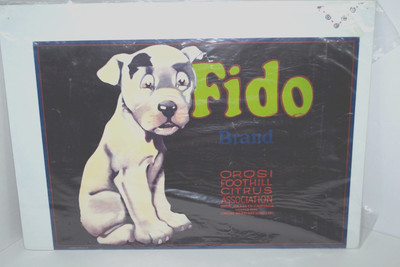 Original Fido Citrus Orosi Tulare Fruit~Crate~Label~Art Puppy Dog 12.5''x9''